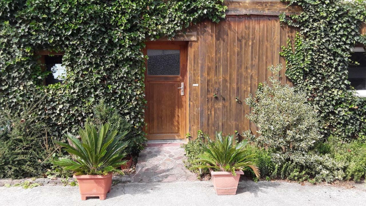Gaestezimmer Sommer Locktow ภายนอก รูปภาพ